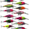 Warrior Custom Painted Berkley Flicker Shad 7 -Fishing Equip Shop Custom family picturet
