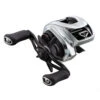 Daiwa Zillion SV TW G Baitcaster Reel