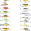 Rapala Shad Rap -Fishing Equip Shop shad rap family 2020