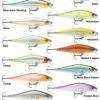 Rapala Shadow Rap Shad -Fishing Equip Shop shadow rap shad family 1